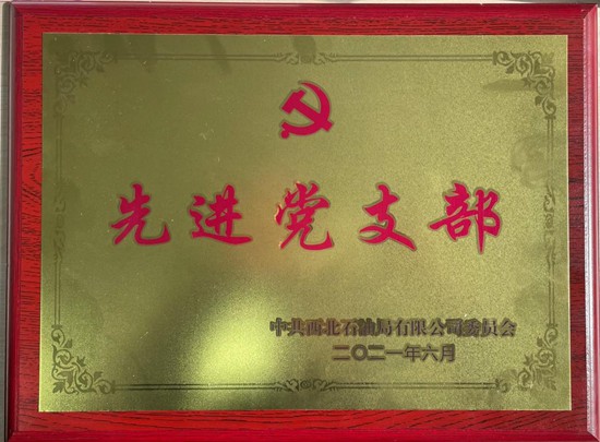 先进党支部